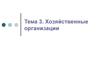 Хозяйственные организации. (Тема 3)