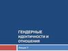 Гендерные идентичности и отношения