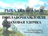 Поплавочная ловля. Маховая удочка