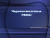 Черепно-мозговые нервы