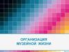 Организация деятельности музея. Музеефикация