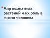 Мир комнатных растений и их роль в жизни человека