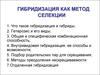 Гибридизация как метод селекции