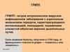 Грипп. Осложнения гриппа