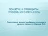 Понятие и принципы уголовного процесса