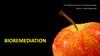 Bioremediation