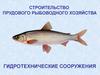 Строительство прудового рыбоводного хозяйства