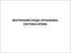 Внутренняя среда организма. Система крови