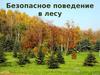 Безопасное поведение в лесу