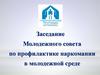 Заседание Молодежного совета по профилактике наркомании в молодежной среде