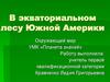 В экваториальном лесу Южной Америки