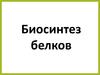 Биосинтез белков
