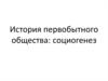 История первобытного общества: социогенез