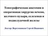 Топографическая анатомия и оперативная хирургия печени, желчного пузыря, селезенки и поджелудочной железы
