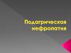 Подагрическая нефропатия