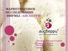 Маркетинговое исследование фирмы «Айсберри»