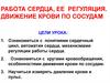 Работа сердца, ее регуляция. Движение крови по сосудам