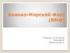 Военно-морской флот (ВМФ)