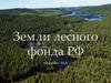 Земли лесного фонда РФ
