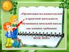 Организация исследовательской и проектной деятельности обучающихся начальной школы как основное требование ФГОС