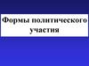 Формы политического участия