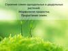 Строение семян однодольных и двудольных растений. Морфология проростка. Прорастание семян