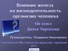 Влияние железа на жизнедеятельность организма человека