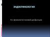 Эндокринология. Физиология половой дисфункции