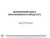Жизненный цикл программного продукта