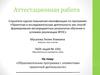 Аттестационная работа. Образовательная программа с элементами проектной деятельности