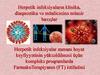Herpetik infeksiyaların klinika, diaqnostika və müalicəsinə müasir baxışlar
