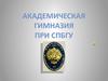 Академическая гимназия при СПБГУ