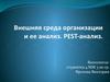 Внешняя среда организации и ее анализ. PEST-анализ