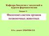 Филогенез систем органов позвоночных животных
