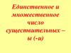 Единственное и множественное число существительных – ы (-и)