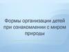 Формы организации детей при ознакомлении с миром природы