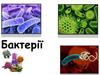 Бактерії