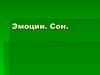 Эмоции. Сон. Интегративные механизмы мозга