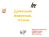 Домашние животные. Кошки