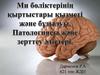 Ми бөліктерінің қыртыстары қызметі және бұзылуы. Патологиясы және зерттеу әдістері