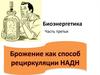 Биоэнергетика Часть третья. Брожение как способ рециркуляции НАДН