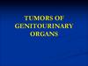 Tumors of genitourinary organs