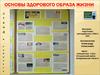 Основы здорового образа жизни