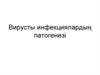 Вирусты инфекциялардың патогенезі