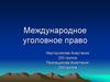 Международное уголовное право