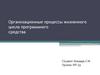 Организационные процессы жизненного цикла программного средства