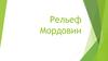 Рельеф Мордовии