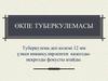 Туберкулема деп көлемі 12 мм үлкен инкапсулирленген казеоздынекрозды фокусты атайды