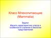 Класс млекопитающие