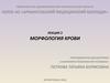 Лекция 2. Морфология крови